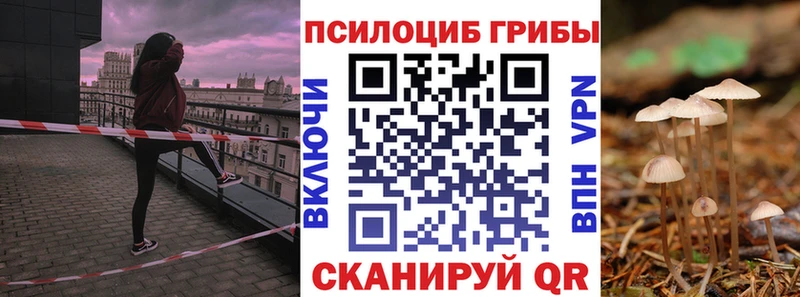 Галлюциногенные грибы Psilocybe Пролетарск
